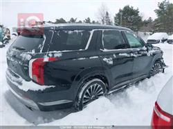 هيونداي باليسيد